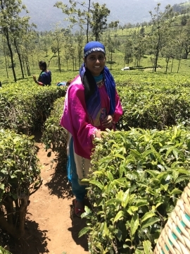 43AECB88-9036-49F6-80A2-5BAF084F16CB